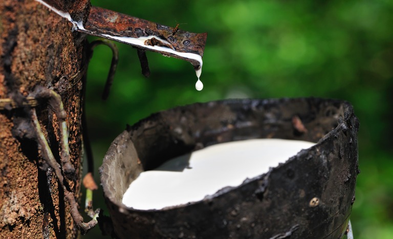 Governo prorroga alíquota para importação de borracha natural até 2027